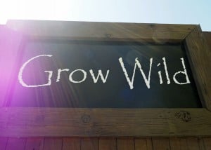 Grow Wild